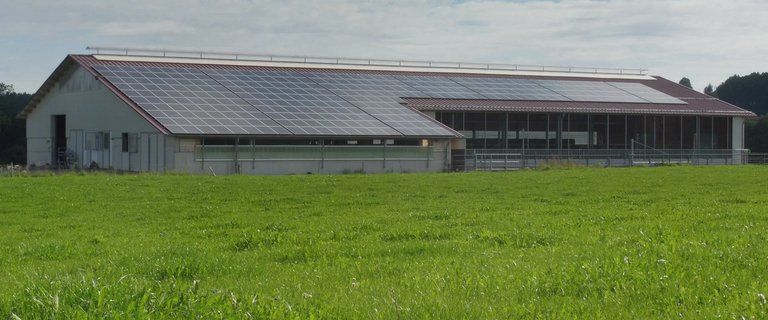 太陽能供能的德國奶牛場